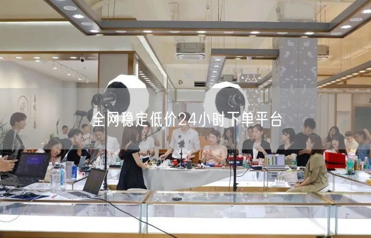 全网稳定低价24小时下单平台